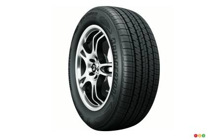 Bridgestone Ecopia